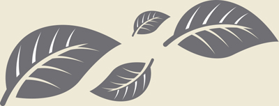 Roundy is environmentally aware